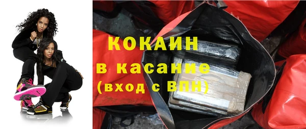 гидра Абаза
