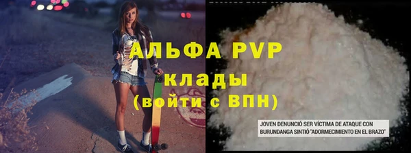 гидра Абаза