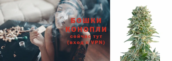 гидра Абаза