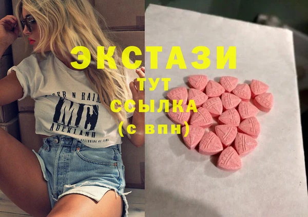 гидра Абаза
