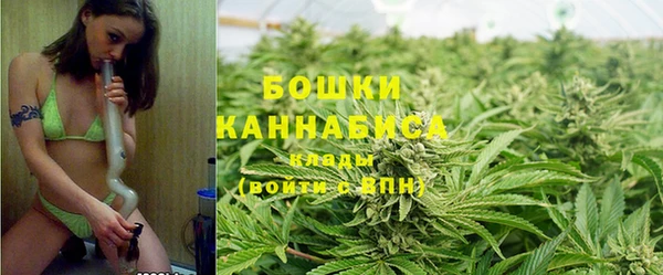 гидра Абаза