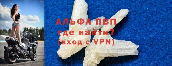 гидра Абаза