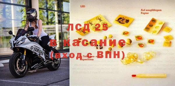 шишки Алзамай